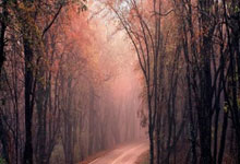 刘俊茜7秒55获室内世锦赛男子60米栏铜牌.