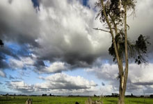 云达不莱梅vs门兴格拉德巴赫:安德烈-席尔瓦、施密德首发,板仓滉、普莱亚出战.