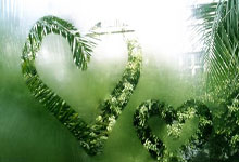 蓝鲸体育：广东终结残阵广厦6连胜 莫兰德18+10+5徐昕5帽.