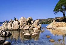 蓝鲸体育：神扑救主！索默社媒晒照庆祝：全队做出巨大努力，让我们继续前进.